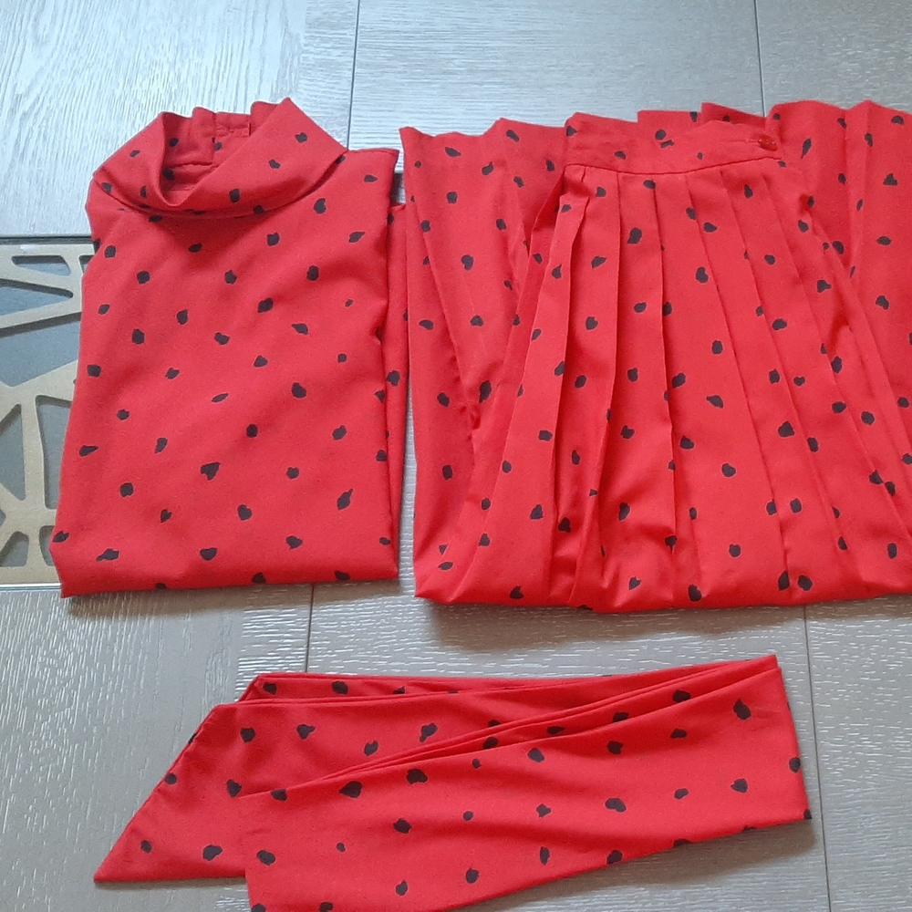 Red and Black Pleated Skirt Set - Picture 13 of 13
